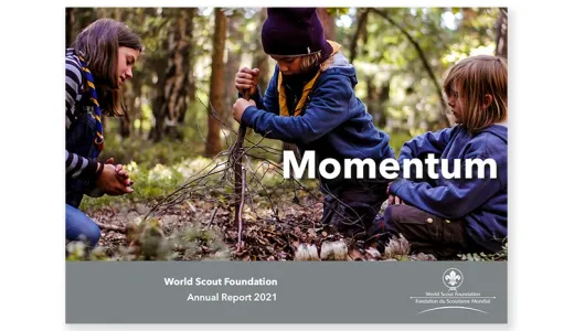 WSF 2021 Annual Report: Momentum