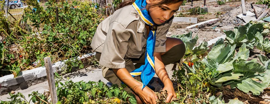 Scout Response to Refugees