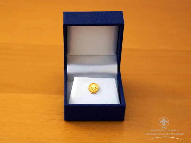 The BP Fellowship Pin