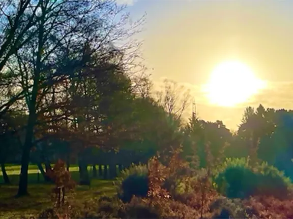 WSF Board visit to Walton Firs and Scouting Cultivation Dinner