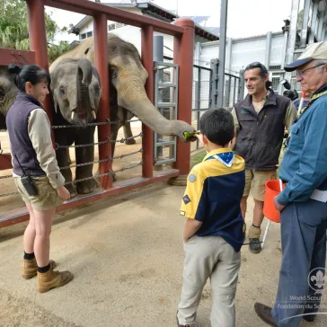 His Majesty and Sam Mouser (Cub Scout & Royal Host) with 6'000 Cub Scouts at Melbourne Zoo