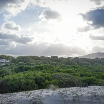 9th Honours Programme Field Trip to Tunisia