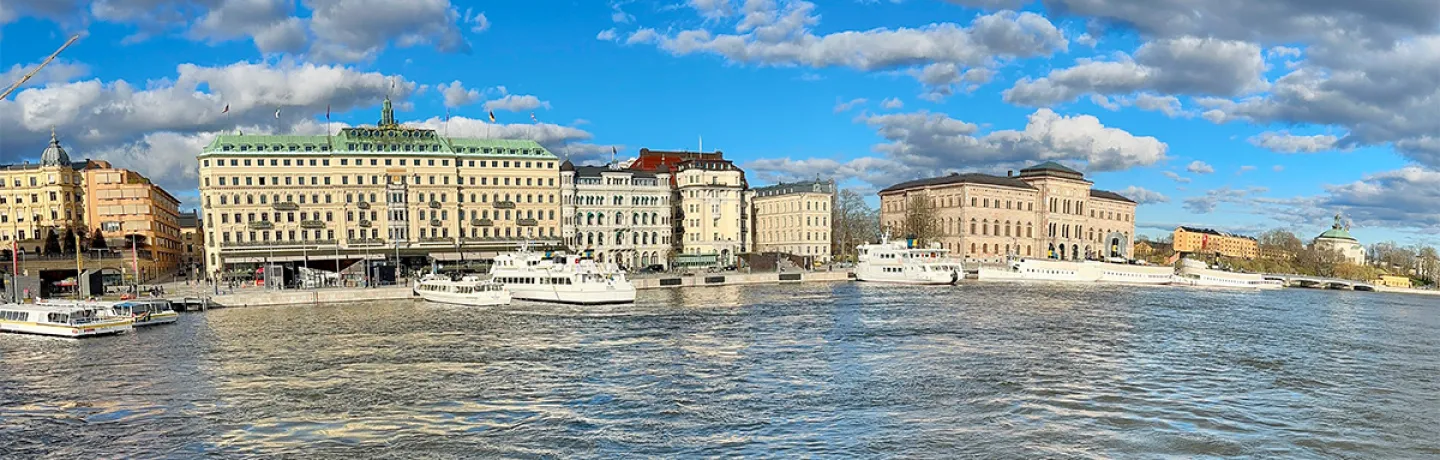 World Scout Foundation Committees