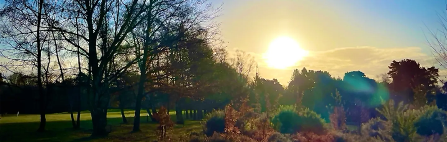 WSF Board visit to Walton Firs and Scouting Cultivation Dinner
